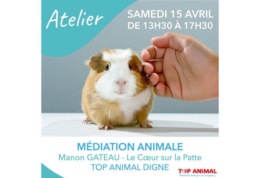 ANIMATION MEDIATION ANIMALE